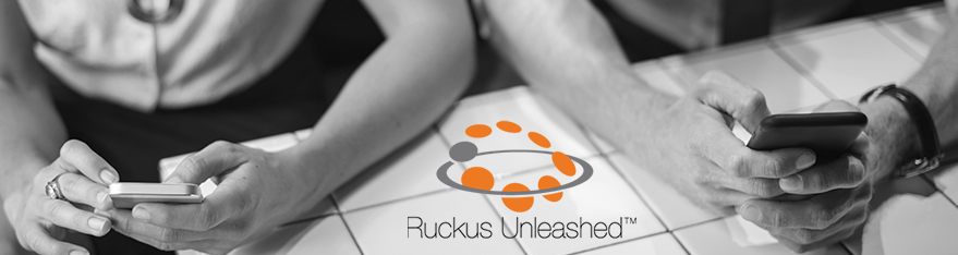 F.A.Q. по Ruckus Unleashed