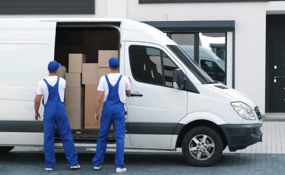 Мы доставляем