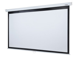 Проекционный экран Lumien Eco Picture LEP-100119 (123", 16:9)