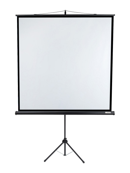 Проекционный экран Lumien Eco View LEV-100107 (97", 1:1)