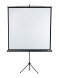 Проекционный экран Lumien Eco View LEV-100107 (97", 1:1)