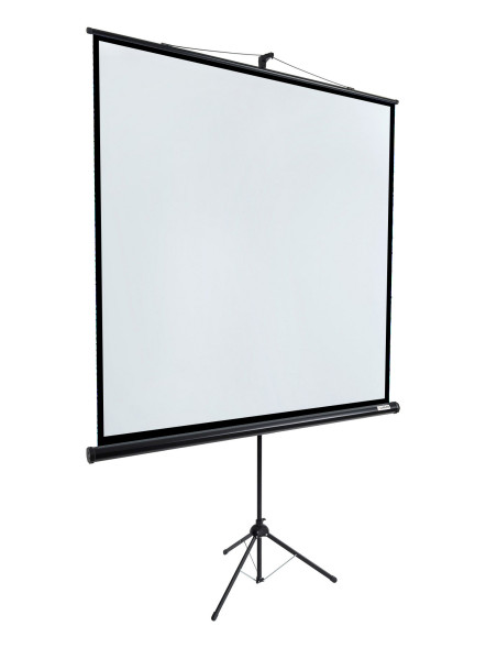 Проекционный экран Lumien Eco View LEV-100107 (97", 1:1)