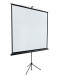 Проекционный экран Lumien Eco View LEV-100107 (97", 1:1)