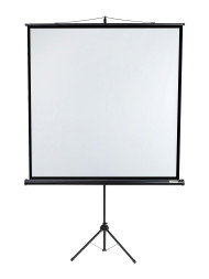 Проекционный экран Lumien Eco View LEV-100108 (109", 1:1)
