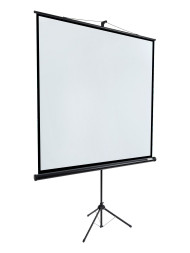 Проекционный экран Lumien Eco View LEV-100108 (109", 1:1)