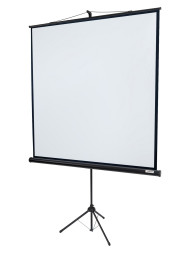 Проекционный экран Lumien Eco View LEV-100108 (109", 1:1)