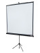 Проекционный экран Lumien Eco View LEV-100108 (109", 1:1)