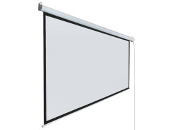 Проекционный экран Lumien Eco Control LEC-100110 (105", 16:9)