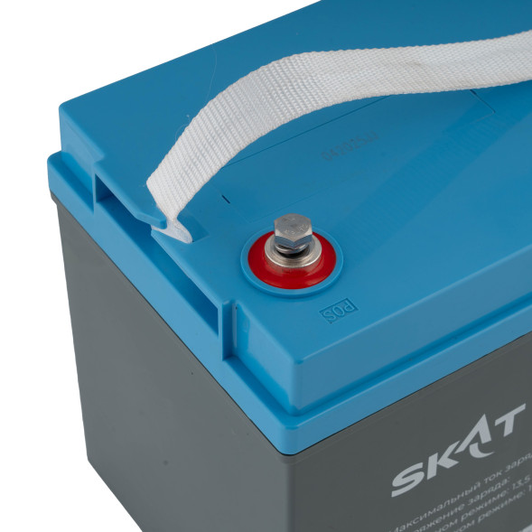 Батарея аккумуляторная Бастион SKAT SB 12100S (8973)