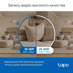 IP-камера TP-Link Tapo C220 (поворотная, Wi-Fi, 4 MP, 4 mm)