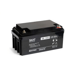Батарея аккумуляторная Бастион SKAT SB 1265 (2541)