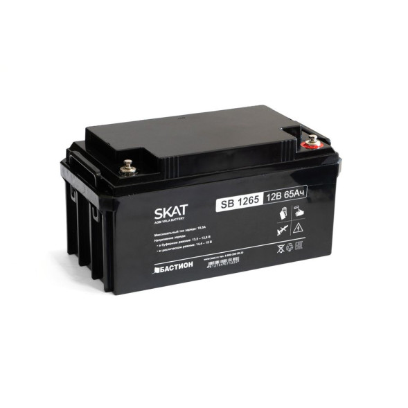 Батарея аккумуляторная Бастион SKAT SB 1265 (2541)