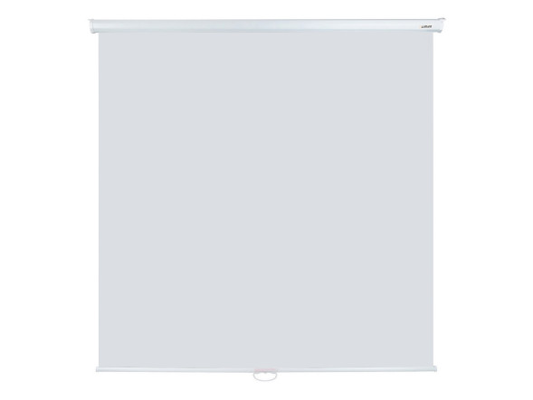 Проекционный экран Lumien Eco Picture LEP-100102 (100", 1:1)