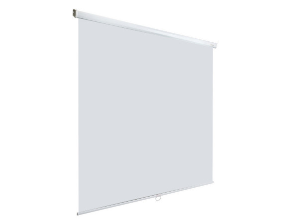 Проекционный экран Lumien Eco Picture LEP-100102 (100", 1:1)