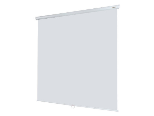 Проекционный экран Lumien Eco Picture LEP-100102 (100", 1:1)