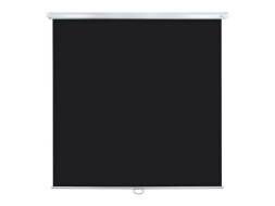 Проекционный экран Lumien Eco Picture LEP-100102 (100", 1:1)