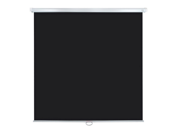 Проекционный экран Lumien Eco Picture LEP-100102 (100", 1:1)