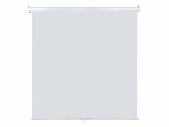 Проекционный экран Lumien Eco Picture LEP-100103 (111", 1:1)