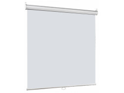 Проекционный экран Lumien Eco Picture LEP-100103 (111", 1:1)