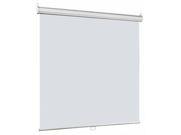 Проекционный экран Lumien Eco Picture LEP-100103 (111", 1:1)