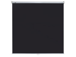 Проекционный экран Lumien Eco Picture LEP-100103 (111", 1:1)