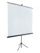 Проекционный экран Lumien Eco View LEV-100102 (100", 1:1)