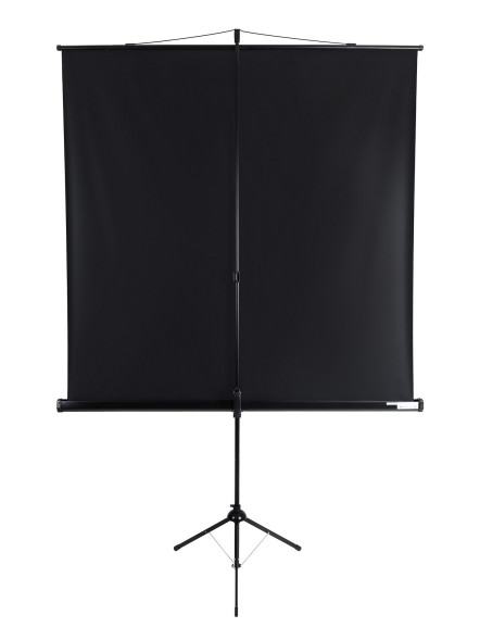 Проекционный экран Lumien Eco View LEV-100102 (100", 1:1)