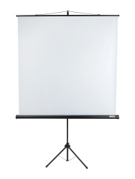 Проекционный экран Lumien Eco View LEV-100103 (111", 1:1)