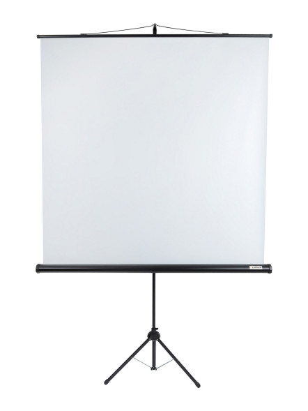 Проекционный экран Lumien Eco View LEV-100103 (111", 1:1)