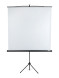 Проекционный экран Lumien Eco View LEV-100103 (111", 1:1)