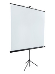 Проекционный экран Lumien Eco View LEV-100103 (111", 1:1)
