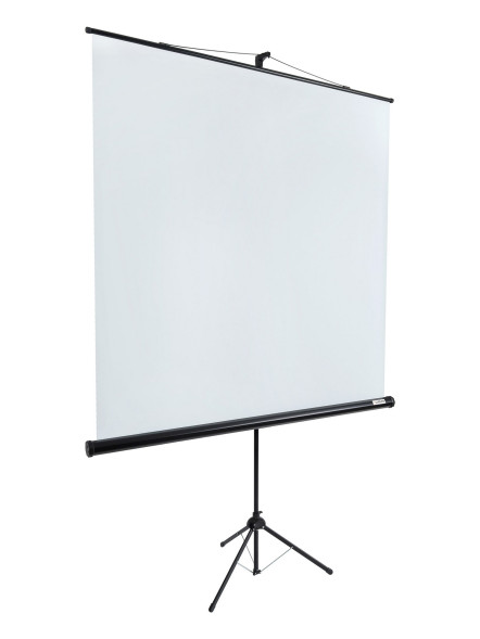 Проекционный экран Lumien Eco View LEV-100103 (111", 1:1)