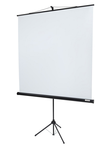 Проекционный экран Lumien Eco View LEV-100103 (111", 1:1)
