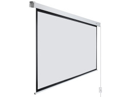 Проекционный экран Lumien Master Control LMC-100115 (123", 16:9)
