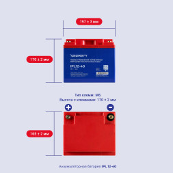 Батарея аккумуляторная Ippon IPL 12-40 (1873317)