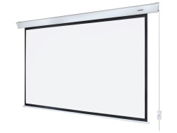 Проекционный экран Lumien Master Control LMC-100132 (135", 16:10)