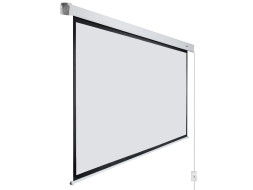 Проекционный экран Lumien Master Control LMC-100112 (196", 4:3)