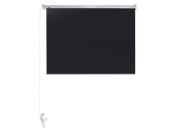 Проекционный экран Lumien Master Control LMC-100112 (196", 4:3)