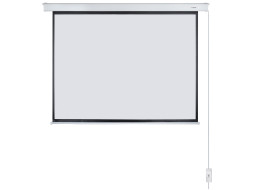 Проекционный экран Lumien Master Control LMC-100111 (176", 4:3)