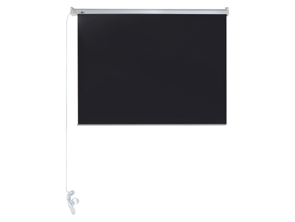 Проекционный экран Lumien Master Control LMC-100111 (176", 4:3)