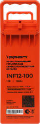 Батарея аккумуляторная Ippon INF 12-100 (2005319)