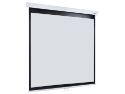 Проекционный экран Lumien Master Picture LMP-100104 (110", 1:1)