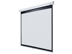 Проекционный экран Lumien Master Picture LMP-100104 (110", 1:1)