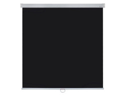 Проекционный экран Lumien Master Picture LMP-100106 (131", 1:1)