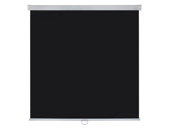 Проекционный экран Lumien Master Picture LMP-100106 (131", 1:1)