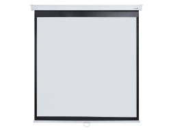 Проекционный экран Lumien Master Picture LMP-100107 (165", 1:1)