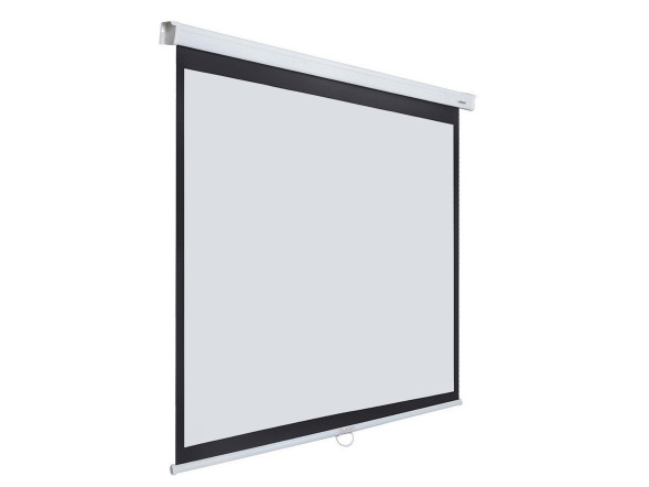 Проекционный экран Lumien Master Picture LMP-100107 (165", 1:1)