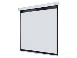 Проекционный экран Lumien Master Picture LMP-100107 (165", 1:1)