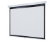 Проекционный экран Lumien Master Picture LMP-100112 (146", 4:3)