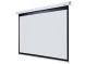 Проекционный экран Lumien Master Picture LMP-100114 (196", 4:3)